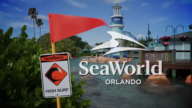 Pipeline: The Surf Coaster - Opening in 2023 at SeaWorld Orlando!
