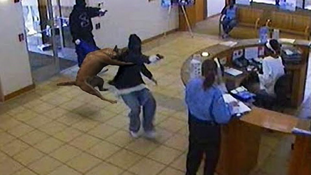 Animal HEROES Protecting Their Owners! | Best Moments