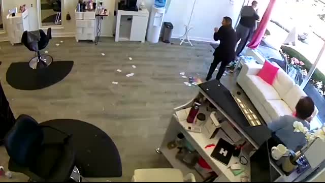 Deer crash into hair salon - 1073877
