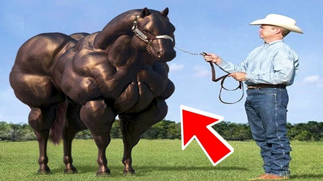10 ANIMAL HYBRIDS YOU WON’T BELIEVE ACTUALLY EXIST!