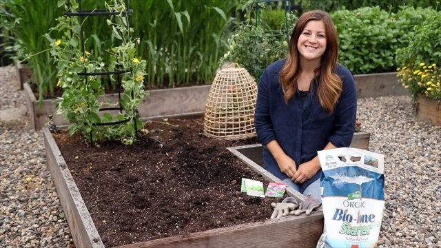 Planting For Fall Harvest! ๐ฉโ๐พ๐ฟ// Garden Answer