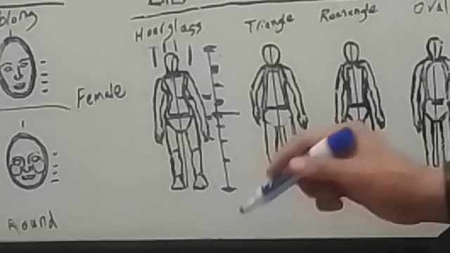 Maes Method   Human Figure Breakdown