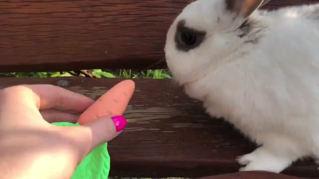 Okto Sensory Arts and Crafts Kits with Air Dry Clay Modelling Kits