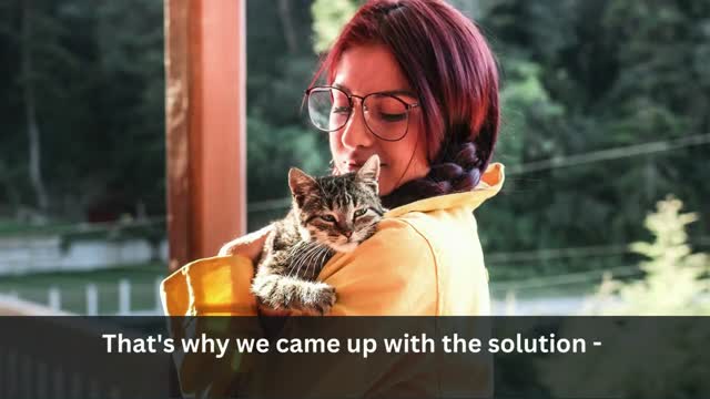 Best Vet Clinic Newsletters