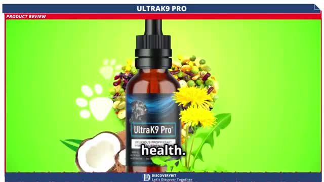 From Couch Potato To Zoom Machine! UltraK9 Pro