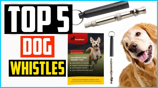 Top 5 Best Dog Whistles Review in 2021