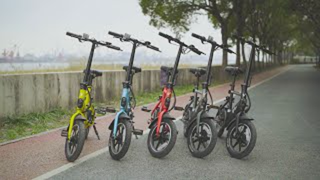 Best 14" Electric Bike by Viribus