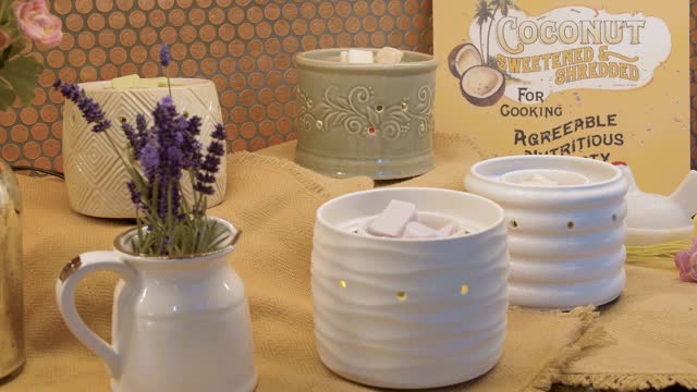 Candle Warmers Etc. Brand Overview- Spring 2020