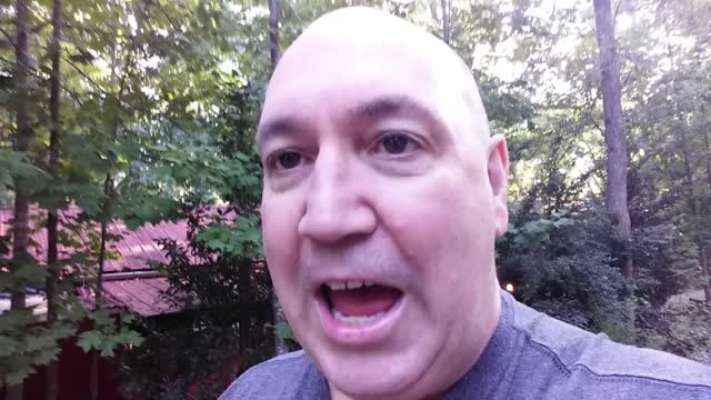 BTS on the Road 4 Paws