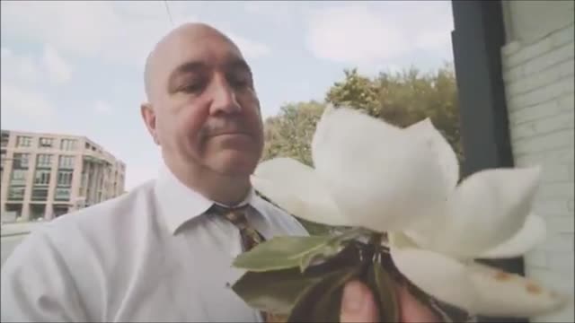 Brian T Shirley ad short