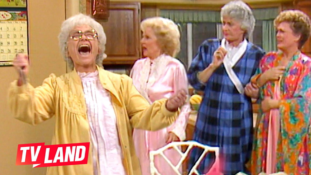 Best Cheesecake Moments on The Golden Girls 🍰 TV Land