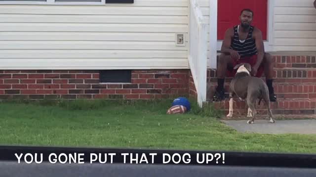 How black people vs white people act with dogs !!!