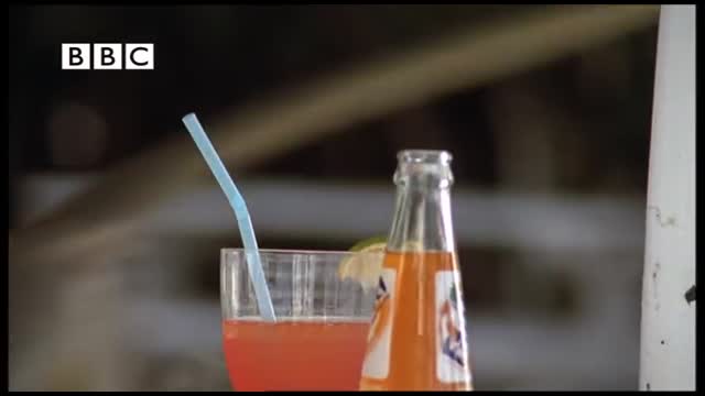 Drunk Monkeys Fail - Weird Nature