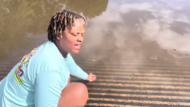 How to tell if alligators in the water in Louisiana