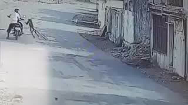 Monkey Drop Kicks People Out Of Nowhere