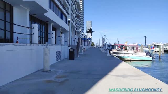 4K Downtown Miami Waterfront Part 2 , Fall City Cycling Tour , Miami FL , November 30 2023