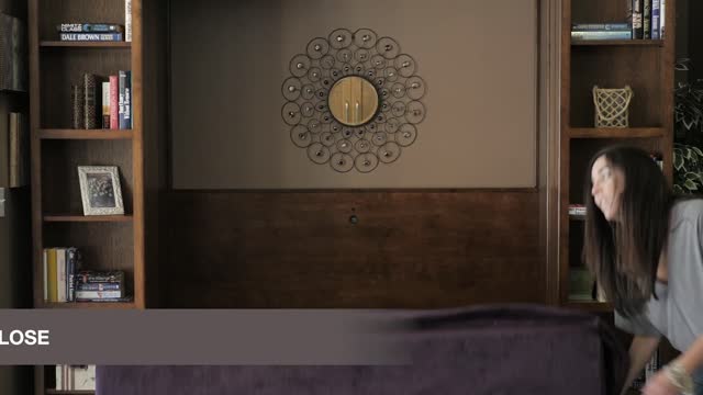 Library Murphy Bed - The Perfect Wallbed For Your Home