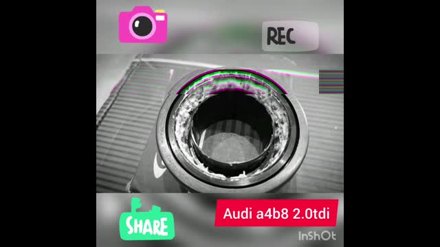 InShot_20200306_124134091