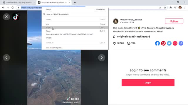 How to Embed TikTok Videos in WordPress
