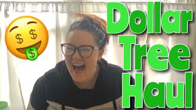 🤑 $30 DOLLAR TREE HAUL 2019 🤑