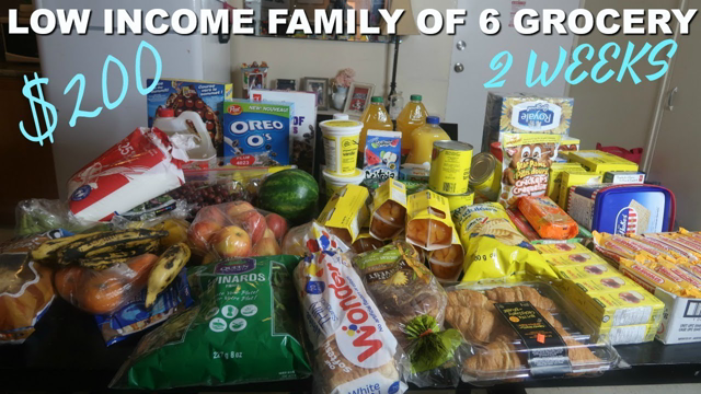 $200 2weeks grocery haul 2019| Family of 6| low income budget |