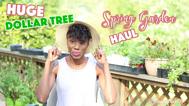 HUGE DOLLAR TREE SPRING GARDEN HAUL  | EP. 6