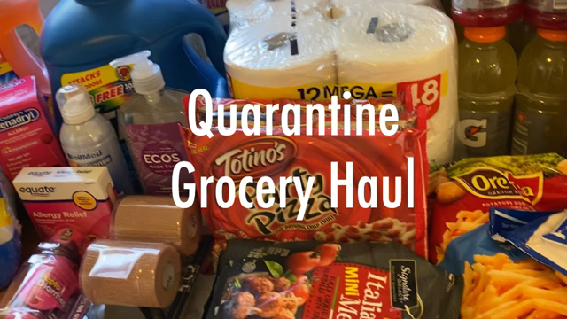 Quarantine Grocery Haul, COVID-19, Shopping for Supplies and Food -JohanaCaudiGs