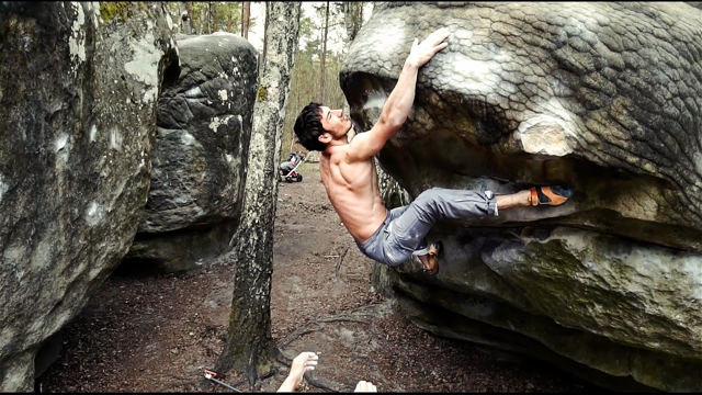 Fontainebleau - Bouldering in the magical forest | 2017