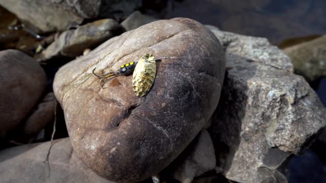 The Best Trout Fishing Setup! - Trout Fishing tips