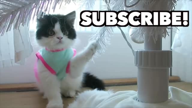 DIRTY NEVER HAVE I EVER W/ TODRICK HALL!