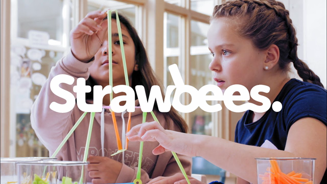Strawbees Education 2020