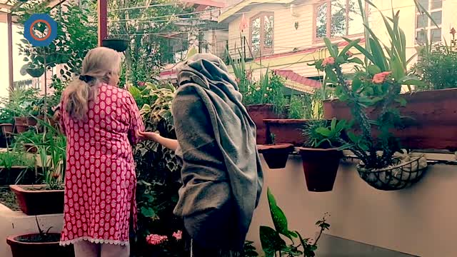 Accosted Meaning | VocabAct | NutSpace