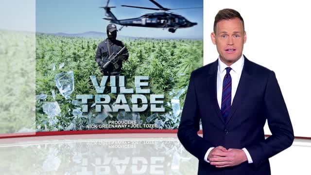 MEXICO | WAR ON DRUGS | 60 Minutes Australia | Michael G Mora