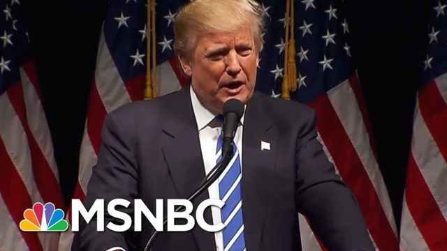 President Donald Trump Reveals His True Feelings On Pleading The Fifth | MTP Daily | MSNBC