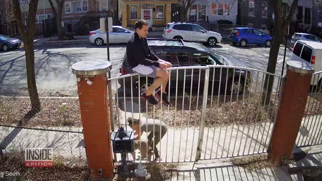 Runner Scales Fence When Pit Bull Attacks