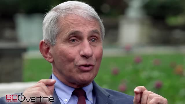 What might the next year of the pandemic be like?