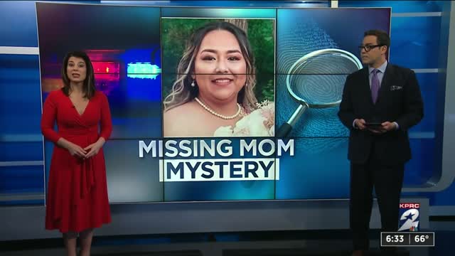 Vehicle pulled from lake in Pearland belongs to missing Erica Hernandez, police say