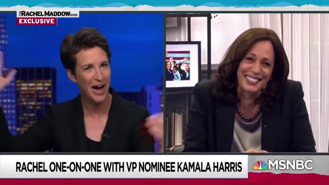 Could You See The Fly? | Rachel Maddow | MSNBC