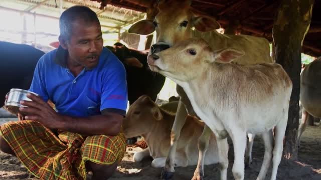 People laughed at him when he planted trees in a DESERT! But later they were all SHOCKED...